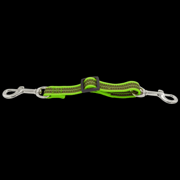 Green Nylon Safety Clip for Prong Collar Backup Attachment