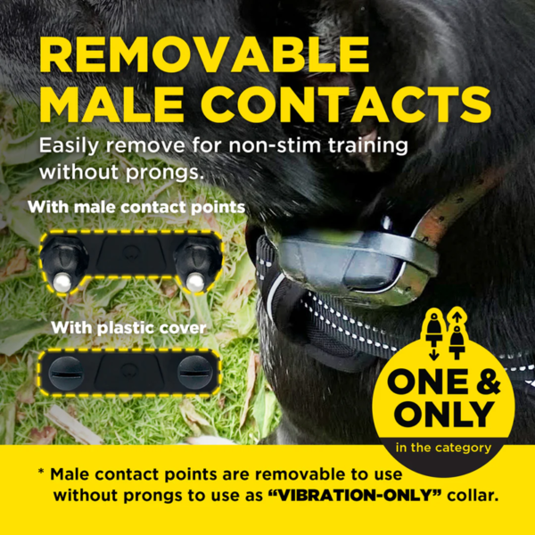 DOGTRA 640X - (280X) EU VERSION - Image 7