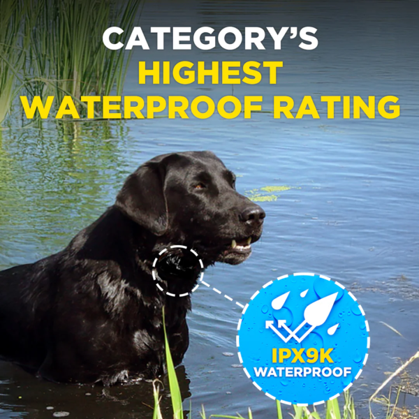 Dogtra SMART NOBARK - Image 7