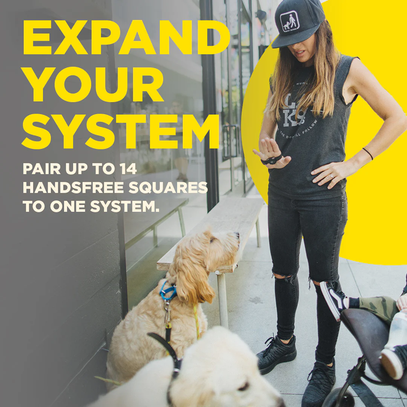 Dogtra Handsfree Square
