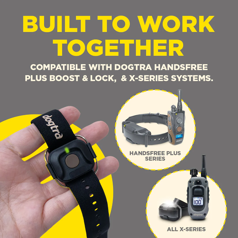 Dogtra Handsfree Square