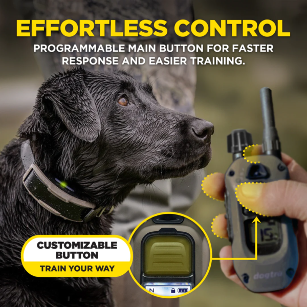 Dogtra 1900X