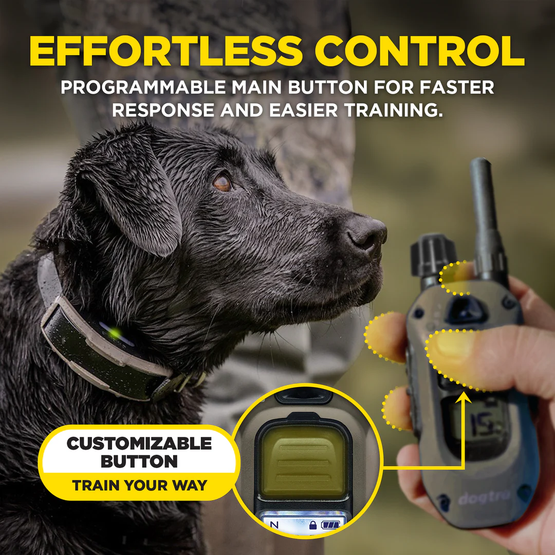 Dogtra 1900X