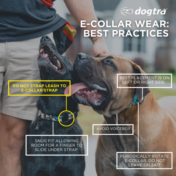 Dogtra 1900X