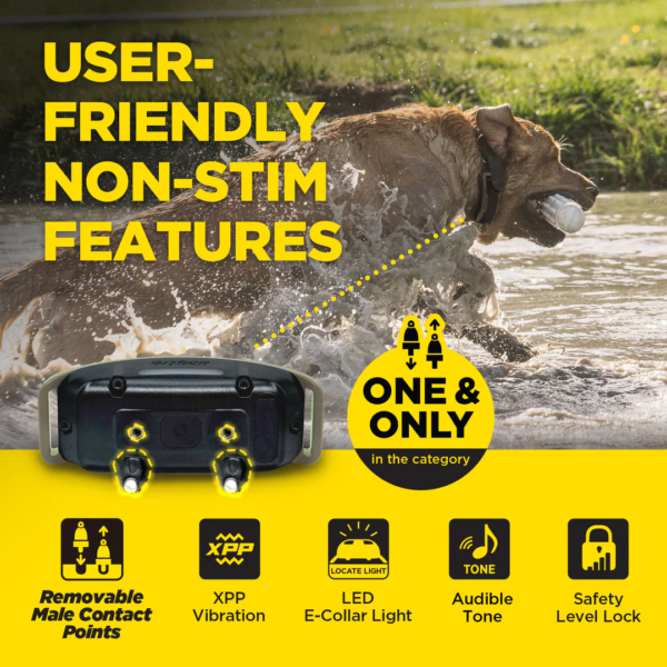 Dogtra 1900X