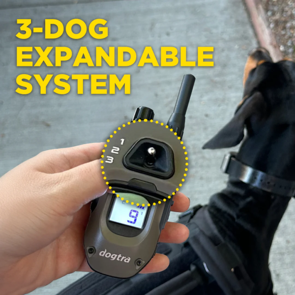 Dogtra 1900X