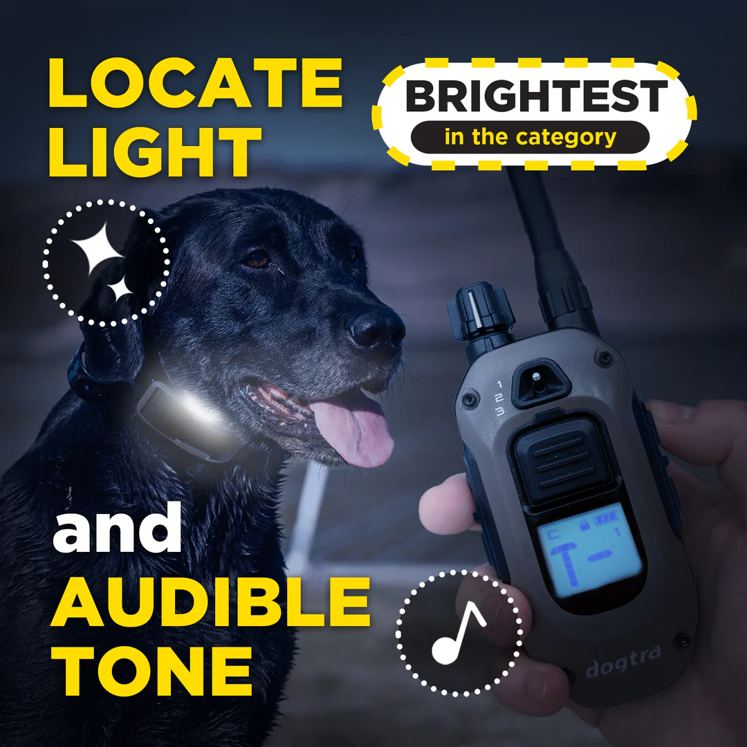 Dogtra 1900X
