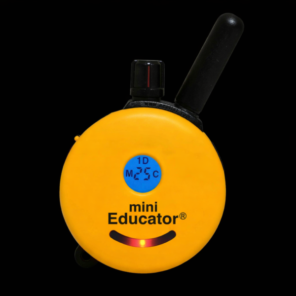 E-Collar ET-300 Model