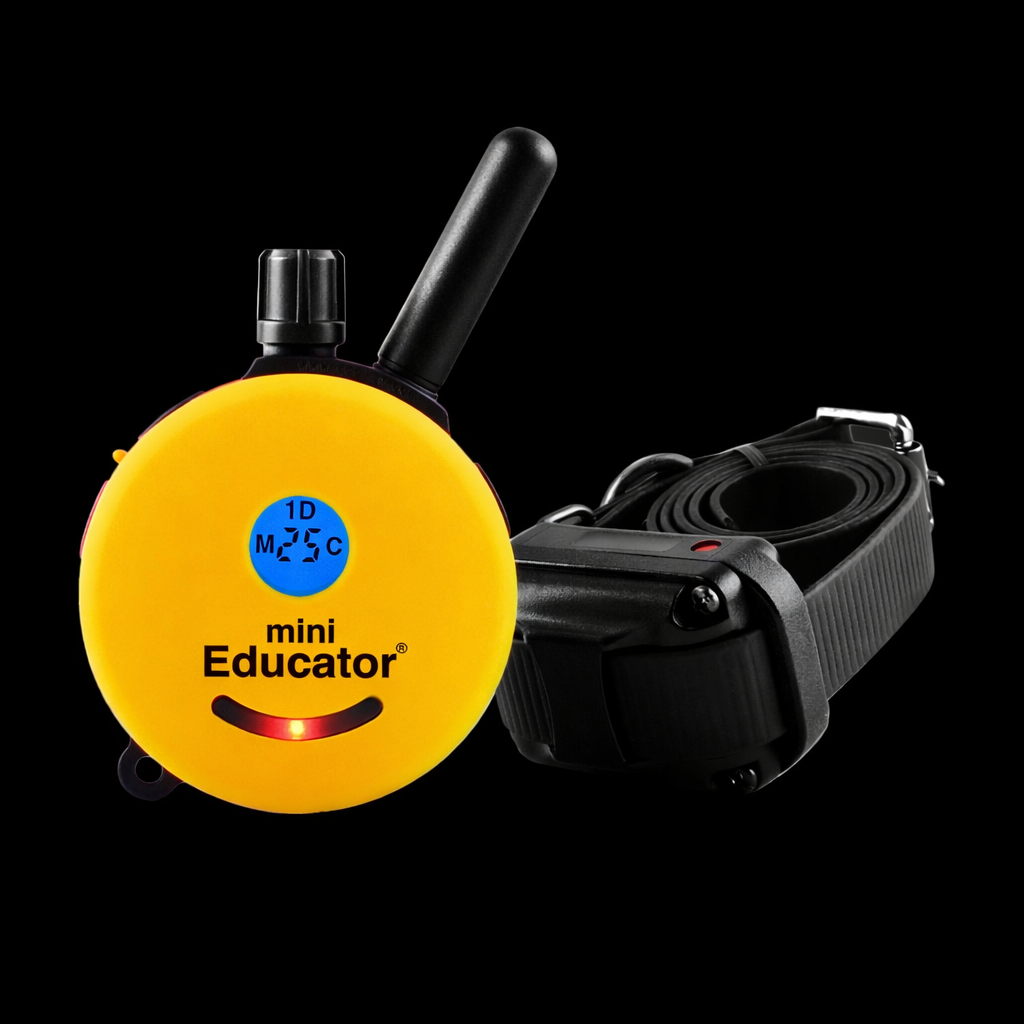 E-Collar ET-300 Model