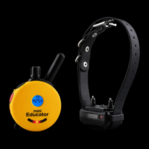 E Collar ET-300 Model